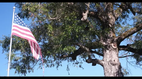 Torn American Flag Flapping in The Wind Stock Footage 321321484