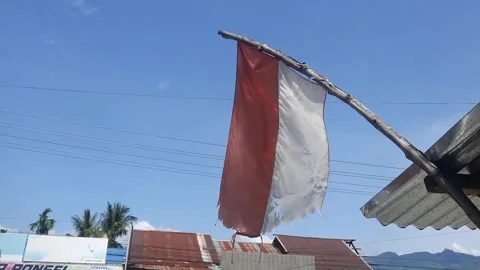 Torn and Worn Indonesian Red and White Flag on the Pole Stock Footage 291907607