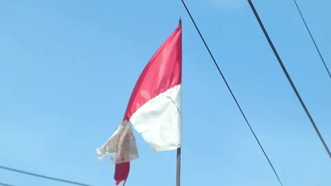 Torn bena still fluttering in the blue sky Stockbeeldmateriaal 244453095