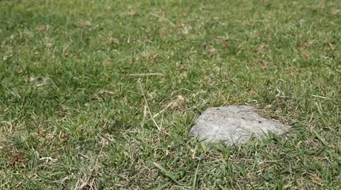 A torn boot Stock-Footage 11408074