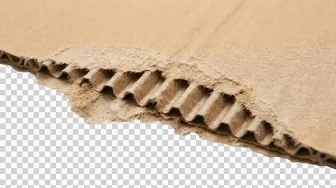 Torn brown cardboard sheet with visible corrugated texture isolated on tran.. Stock Photos