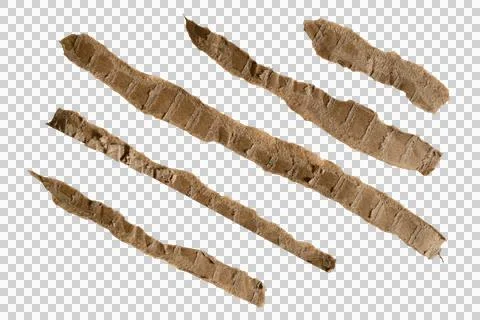 Torn cardboard papers designed for use as a separator line in graphic design. Stock Illustration