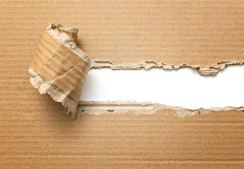 Torn cardboard with space for text Stock Photos