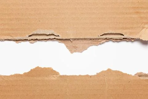 Torn cardboard with space for text Stock Photos