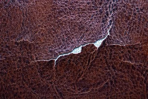 Torn dark brown leather texture with deep crack and damaged surface detail Stock Photos