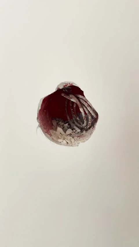 Torn drywall with exposed insulation Vídeos de archivo 299944368