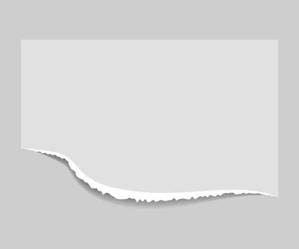 Torn edge paper vector illustration. Piece ripped blank with shadow. Rip whit Illustrazione stock