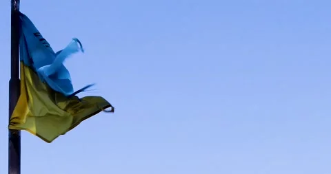 Torn flag of ukraine with a trident against the blue sky develops in the win 스톡 동영상 234883200