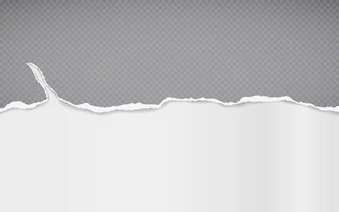Torn of grey squared paper strip is on white background for text, advertising or Stock Illustration