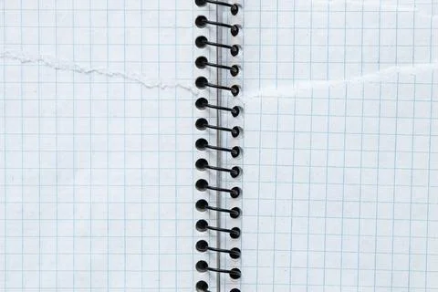 A torn, gridded notebook page with a spiral binding for note-taking, writin.. Stock-Fotos