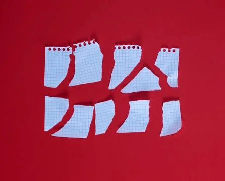 Torn in half blank white sheet into many small pieces Stock Photos