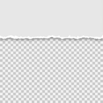 Torn a half sheet of grey paper, vector illustration 库存插图