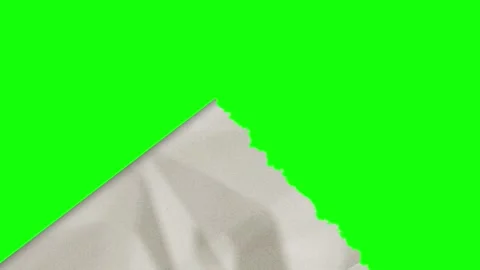 Torn Looping on Green Screen Chroma Key Background Stock Footage 345498449
