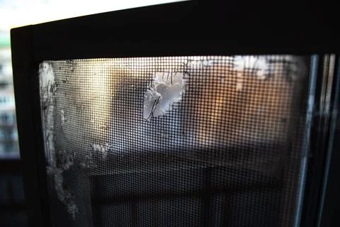 Torn mosquito net for the window. Stock Photos