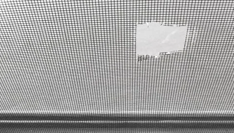 Torn mosquito screen Stock Photos