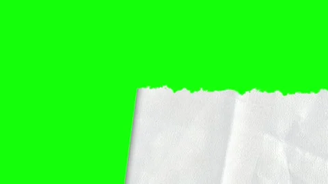 Torn Motion on Chroma Key for Compositing 스톡 동영상 346202221