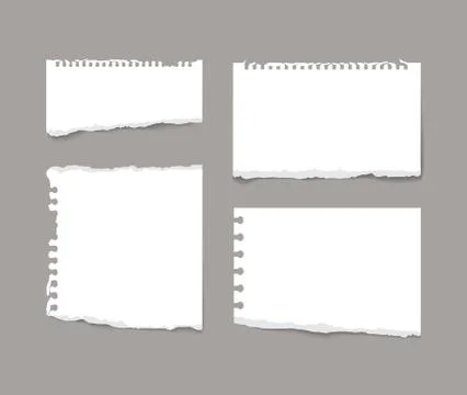 Torn notebook paper pieces isolated on grey Stock Illustration