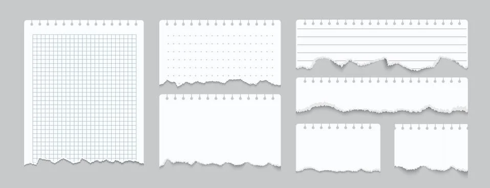 Torn notebook papers. Realistic blank gridded notebook ripped out papers. Vector Stock Illustration