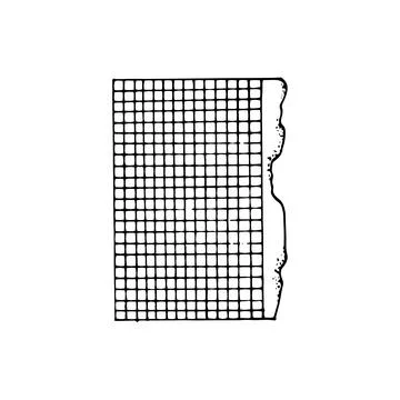 Torn page line art checkered. Notebook sheet. Hand drawn doodle vector illu.. Stock Illustration