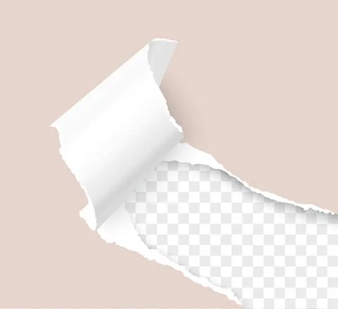 Torn paper corner realistic vector 3D template Stock Illustration