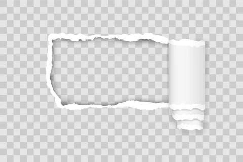 Torn paper edge for design with transparent space template vector illustratio Stock Illustration