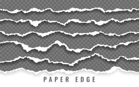 Torn paper edge. Ripped squared paper strips. Vector illustration. Stock Illustration