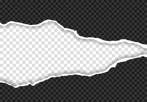 Torn paper edge. Ripped squared paper strips. Illustrazione stock