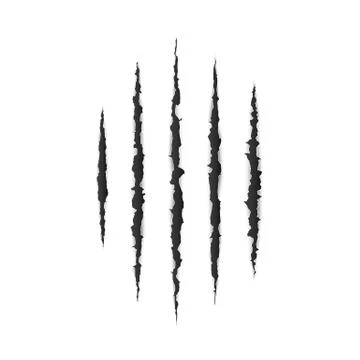 Torn paper edge. Scary leceration paper surface. Wild animal claws scratch te Stock Illustration