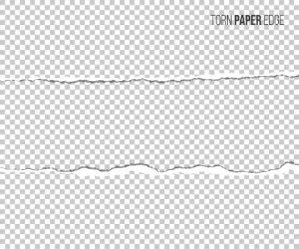 Torn paper edge with shadow isolated on transparent background. Vector design イラスト素材