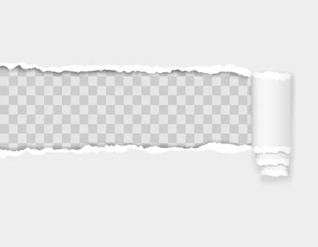 Torn paper edge vector illustration 스톡 일러스트