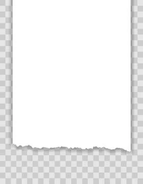 Torn paper edge vector illustration Stock Illustration