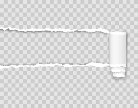 Torn paper edge vector illustration Stock Illustration