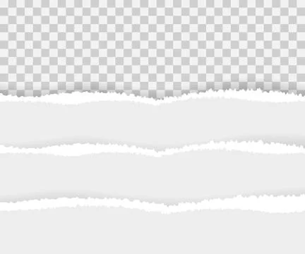 Torn paper edges, seamless horizontally. Vector stock illustration. Stock Illustration