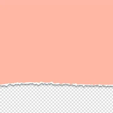 Torn paper. Half sheet of pink page. edge sheet. Blank scrapbook template Illustrazione stock