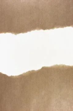 Torn paper, message Stock Photos