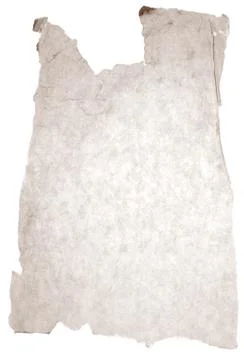 Torn paper Stock Photos
