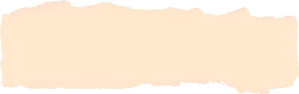 Torn paper pieces vector elements isolated 库存插图