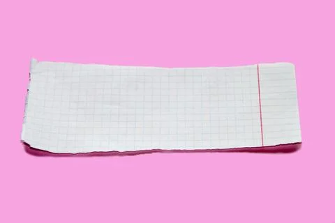 Torn paper on pink background. Blank Ripped notebook sheet Stock Photos