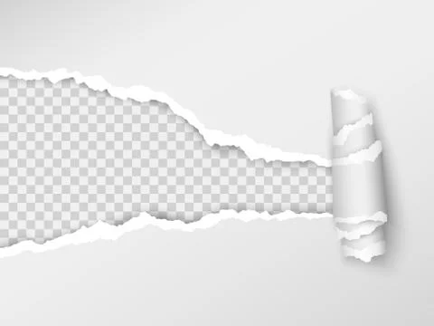 Torn paper. Realistic hole in the sheet of paper on a transparent background. Stock Illustration