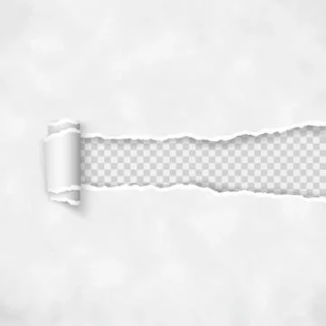 Torn paper with rolled edge. Rough broken border of paper stripe. Vector illu Stock Illustration