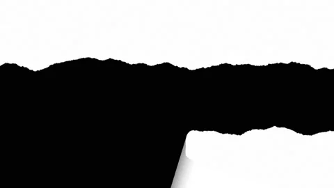 Torn paper set Stock Footage 124156614