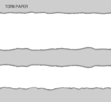 Torn Paper Srtipes Vector Illustration Illustrazione stock