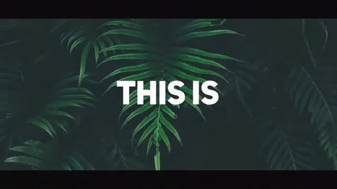 Torn Paper Stomp Opener After Effects stock