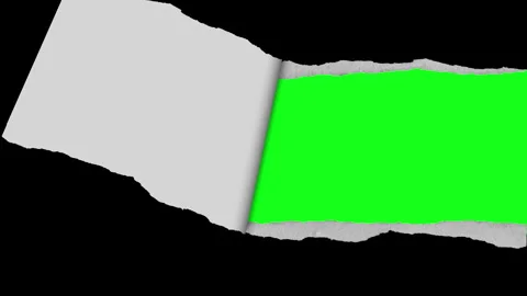Torn paper texture background with green screen. Stock Footage 315325585