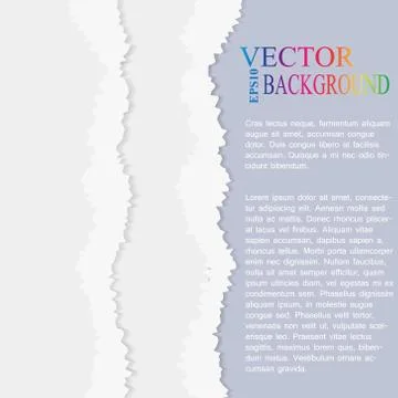 Torn paper vector, layered Illustrazione stock