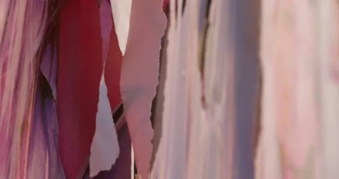 Torn Poster Close-up on the Wall. Stock Footage 159829345