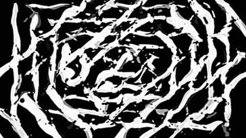 Torn rectangles Stock Footage 166864249