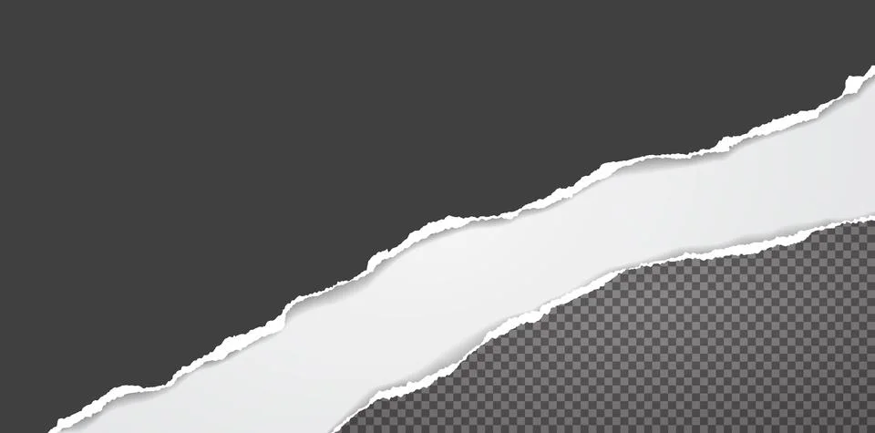 Torn, ripped black and squared paper strips with soft shadow are on white Stock Illustration