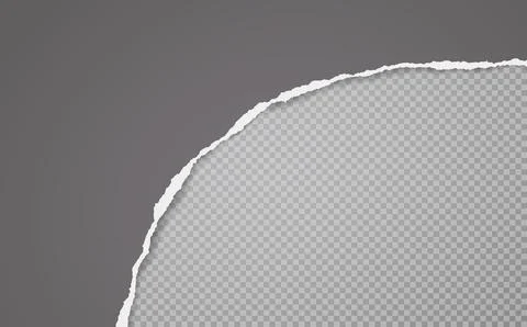 Torn, ripped dark grey grey paper strip with soft shadow is on squared Stock Illustration