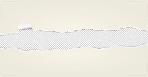 Torn, ripped light beige paper strips with soft shadow are on white squared Stock Illustration